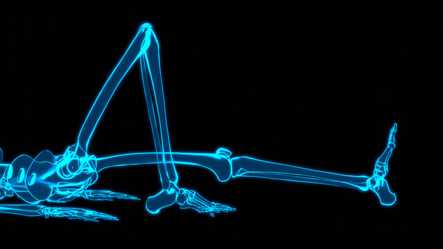 Hologram Skeleton Closeup Supine Unilateral Knee Flexion HUD