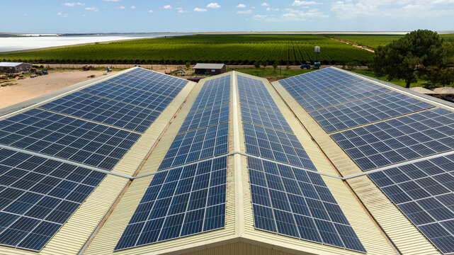 Large-scale solar panel installation on agricultural roof