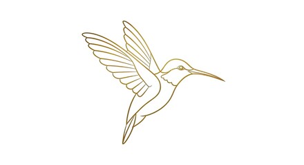 Obraz premium Golden outline hummingbird flight logo design.