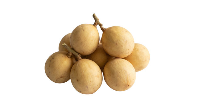 Bunch of ripe langsat fruits on a white background.