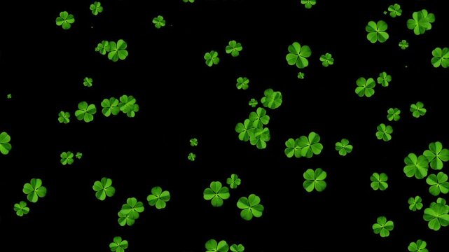 Moving clover leaves motion graphics with plain black background