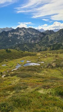 Les belles pelouses et p&acirc;turages d'altitude (estives) du massif du Donezan non-loin des &eacute;tangs de Rabassoles, au c&oelig;ur du Petit Qu&eacute;bec Ari&eacute;geois (parc naturel r&eacute;gional des Pyr&eacute;n&eacute;es Ari&eacute;geoises)