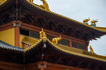 Fototapeta premium Shanghai city