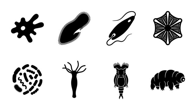 Microscopic Organisms Vector Icons: Amoeba, Paramecium, Bacteria, Hydra, Rotifer, Tardigrade, and More, Science Biology Illustrations