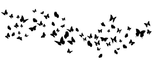 Black butterfly silhouettes in various flying poses. Vector illustration. © yayasya