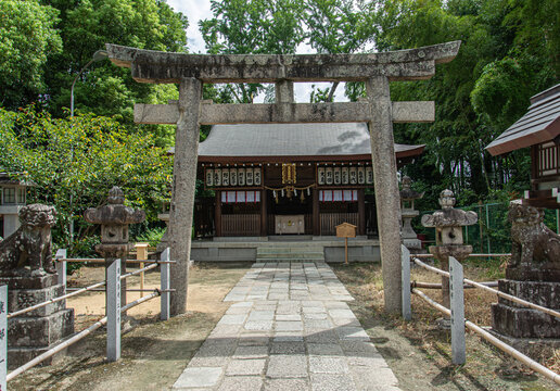 Stone Torii Gate Framing a Traditional Shinto Shrine in Japan