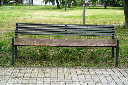 Empty park bench in green city park with trees