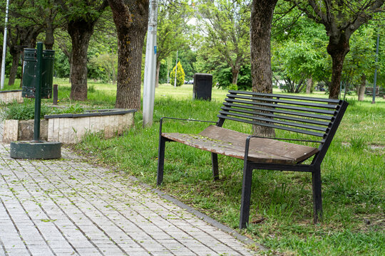 Empty park bench in green city park with trees