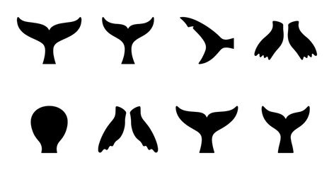 Whale Tail Silhouettes, Marine Mammal Fins, Ocean Wildlife Icons, Aquatic Animal Shapes, Vector Set for Nautical Designs © Nusrat
