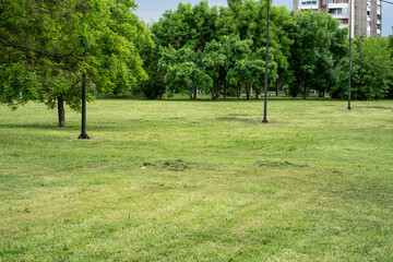 Obraz premium Urban park with green grass and lush trees