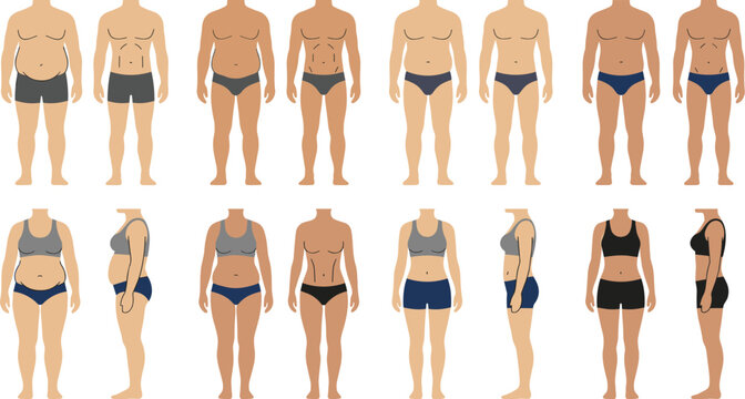 Female body transformation collection showing weight loss progress, fitness results and body shape changes in front and side views