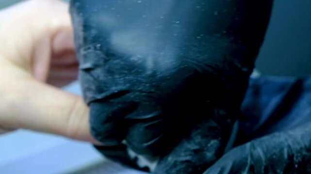 Finger nail treatment, fashion, manicure making process in beauty salon Electric nail file drill in action, close up of beautician hands in black gloves working on client fingernails.