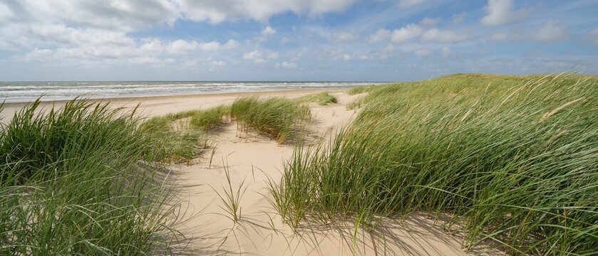 Panoramic landscape background banner panorama of sand dune, dunes beach and ocean North Sea with blue sky with clouds