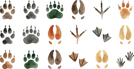 Animal footprint collection featuring paw prints, hoof tracks, bird footprints and wildlife trail marks isolated vector illustration set © Dulal creation 