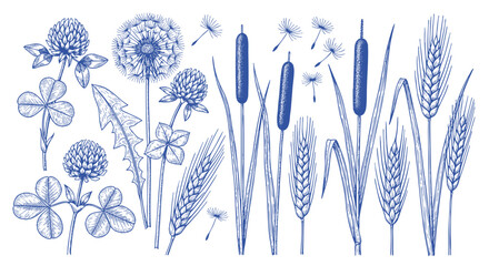 Detailed botanical line art set showing various types of leaves and a berry branch for classic nature-inspired illustrations and design work. © bow