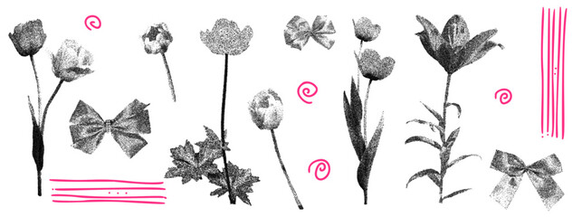 Naklejka na ściany i meble Stipple tulip and peony flower with photocopy halftone effect for scrapbook. Vintage grunge blooms, pink doodle swirls and stripes on white. Vector set of stippled flowers with bow elements isolated