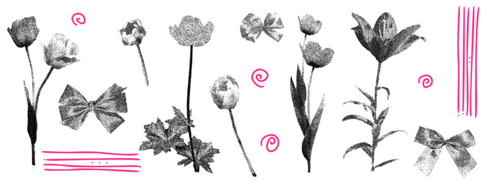 Stipple tulip and peony flower with photocopy halftone effect for scrapbook. Vintage grunge blooms, pink doodle swirls and stripes on white. Vector set of stippled flowers with bow elements isolated