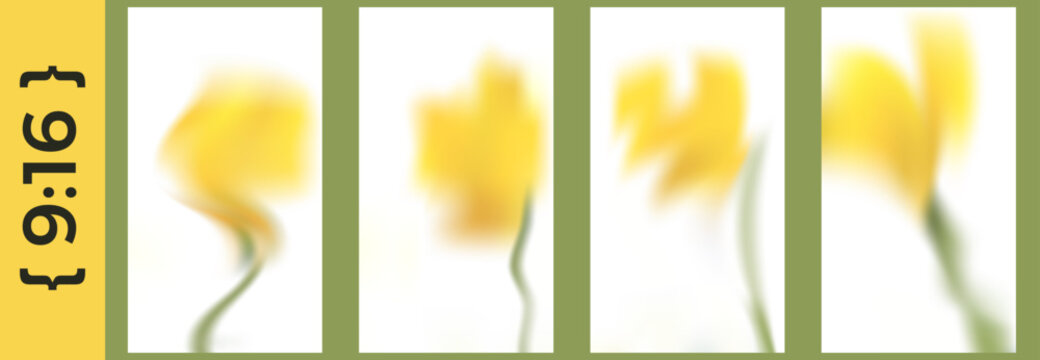 Blur flower story set with soft gradation and floral gradient for social media. Vertical carousel templates and unfocused yellow tulips on beige background. Delicate vector layout in calm spring mood