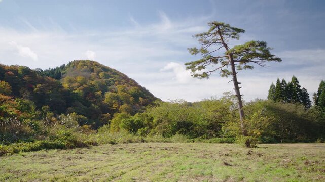 紅葉の名所 秋の鳴子峡の風景　Autumn scenery of Naruko Gorge, a famous spot for autumn foliage.