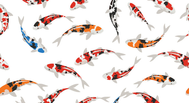 Seamless pattern of colorful koi fish with different spots and patterns swimming gracefully on a clean white background for textile.