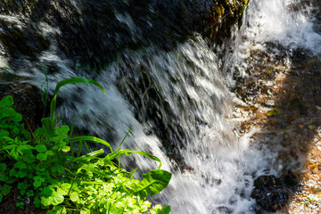 Crystal clear water cascades over dark mossy rocks in a lively forest stream, highlighting the refreshing motion of the bubbling white waterfall framed by vibrant lush green foliage © PhotoChur