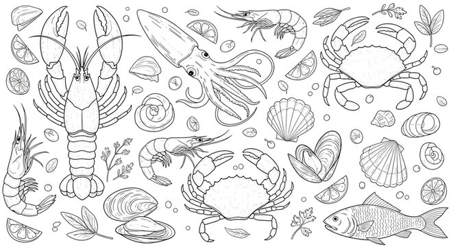 Detailed black and white line art pattern showcases an assortment of fresh seafood including lobster, crab, squid, and shells.