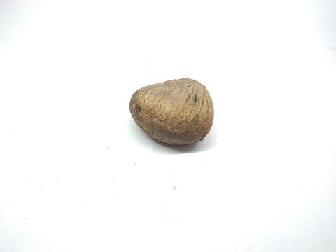 A clean, high-quality studio product shot featuring a single whole seed of Pangium edule, commonly known as keluak, kluwek, or kepayang nut, isolated against a seamless, bright white background. The l