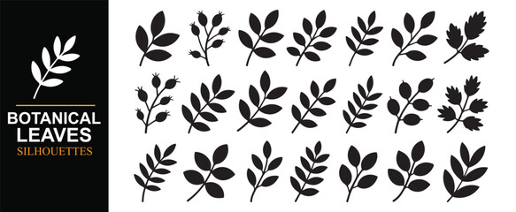 Fototapeta premium Black Botanical Leaf Silhouettes Pack with Decorative Plant Symbols