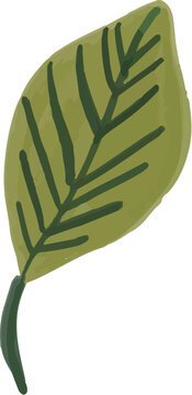 Hand painted Leaf Foliage element illustration