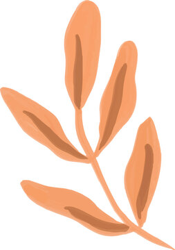 Hand painted Leaf Foliage element illustration