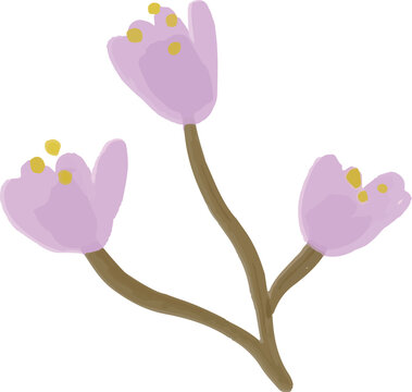 Hand Painted Floral Bloom Element Illustration