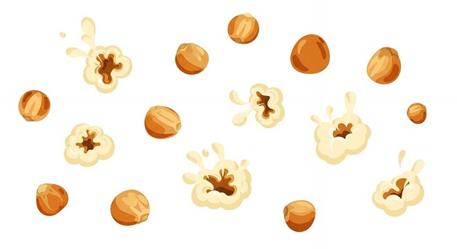 Collection of cartoon popcorn kernels and fluffy popped corn pieces isolated on white background for snack food design