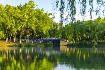 Fototapeta premium Peaceful Park Lake with Stone Bridge and Tree Reflections