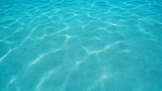 Clear blue pool water with gentle sunlight reflections. Summer texture, luxury resort atmosphere and refreshing background concept.