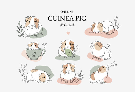 Cute Guinea Pig One Line Sticker Pack with Pastel Color Accents and Botanical Elements