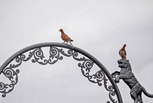 Two pigeons perched on an ornate wrought iron arch with a metallic tiger sculpture