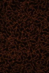 Obraz premium Traditional Indonesian batik pattern in dark brown