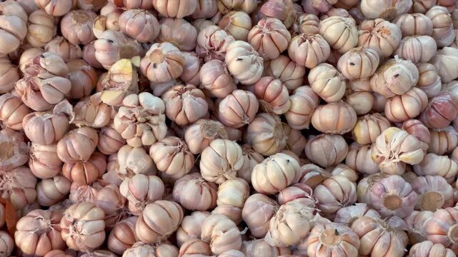Fresh garlic bulbs piled in a market
