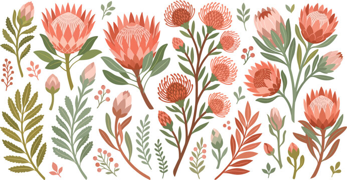 A beautiful collection of hand painted watercolor protea flowers and lush green foliage arranged in a decorative botanical pattern on a clean white background