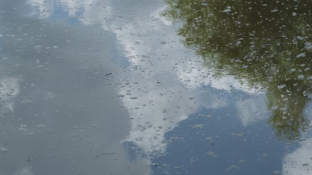 Reflections of clouds and trees on moving pond water