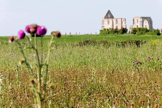 ile de r&eacute; -0213