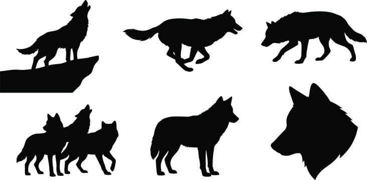 Wolf silhouette set with howling, running, standing, and pack poses for wildlife, outdoor adventure, and nature design concepts