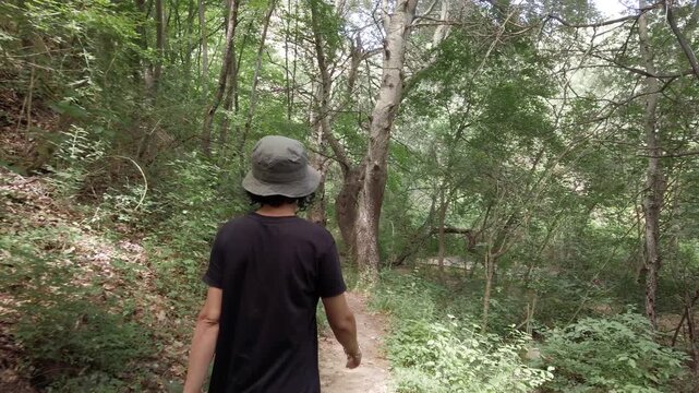 Female person hiking through tranquil forest trail on a sunny day