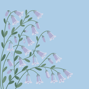 Botanical study of campanulate purple flowers with pendulous blooms and chlorophyll-dense green stems