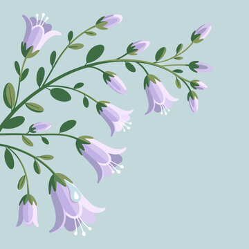 Botanical study of campanulate purple flowers with smooth petal textures and a single aqueous droplet on a light blue field