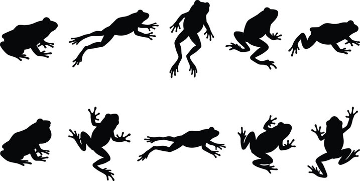 Frog silhouette vector illustration set, cute amphibian toad icons isolated on white background