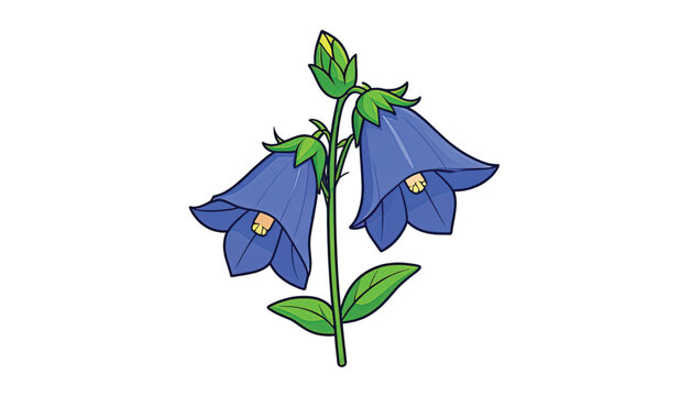 Blue bell shaped flower blossoms.