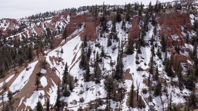 Drone Shot of Dixie National Forest Hills with Snow