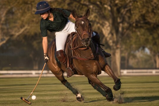 Woman polo player riding horse at fast gallop on playing field. Equestrian athlete hitting ball with mallet during competition match. Active lifestyle and competitive sport concept