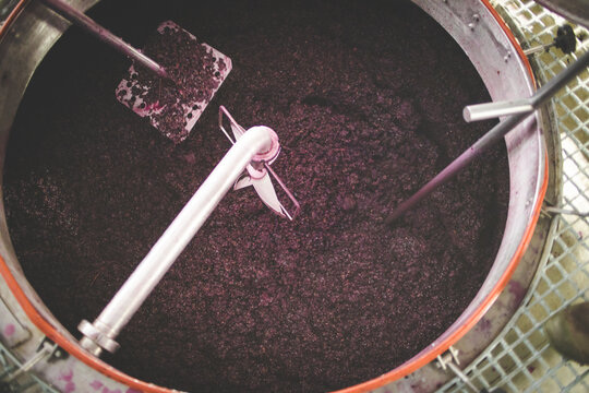 Red Wine Grape Must Fermenting in Stainless Steel Tank